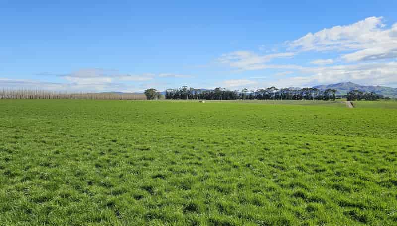 78 and 90 Waimumu Road, Waimumu