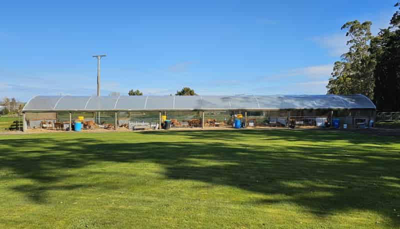 78 and 90 Waimumu Road, Waimumu