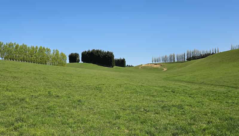 78 and 90 Waimumu Road, Waimumu