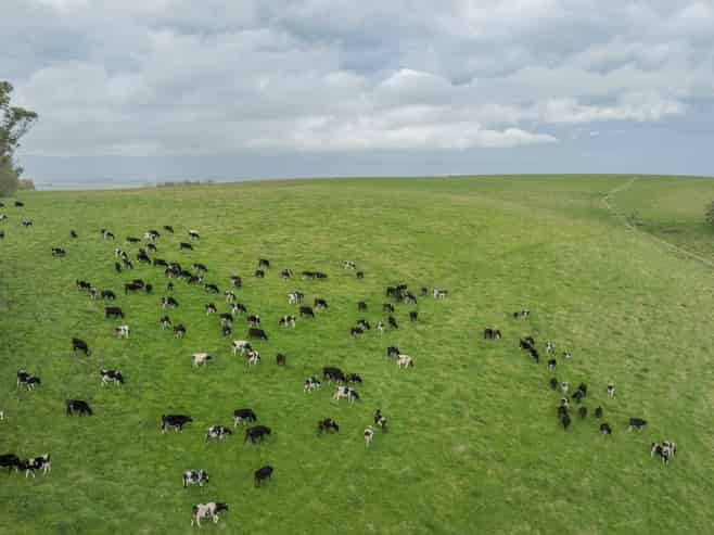 574 Spur Hut Road, Temuka
