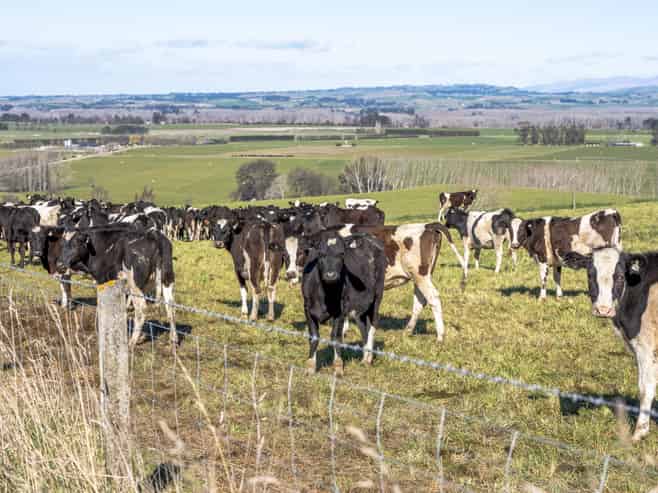 574 Spur Hut Road, Temuka