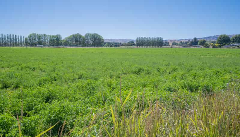 Lot 2 & 3,  Fisher Lane, Galloway