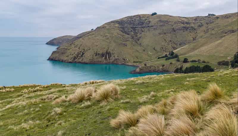 Lot 1 Camp Bay Road, Purau