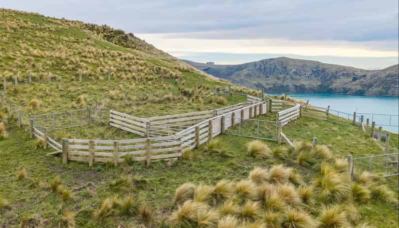 Lot 1 Camp Bay Road, Purau