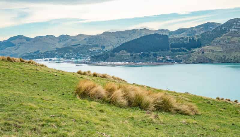 Lot 1 Camp Bay Road, Purau