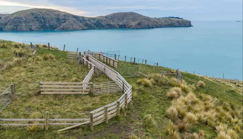 Lot 1 Camp Bay Road, Purau