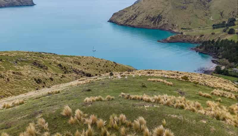 Lot 1 Camp Bay Road, Purau