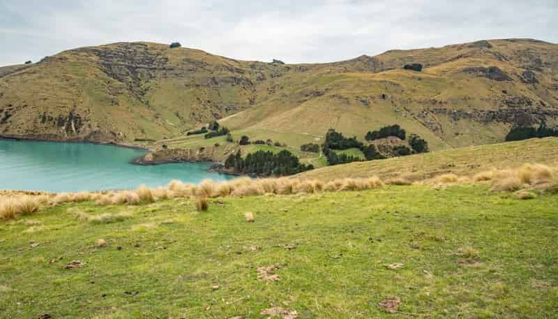 Lot 1 Camp Bay Road, Purau