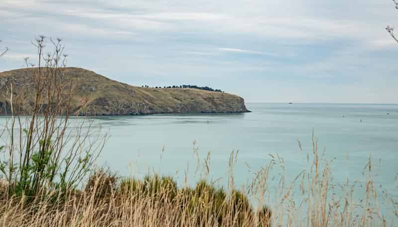 Lot 1 Camp Bay Road, Purau