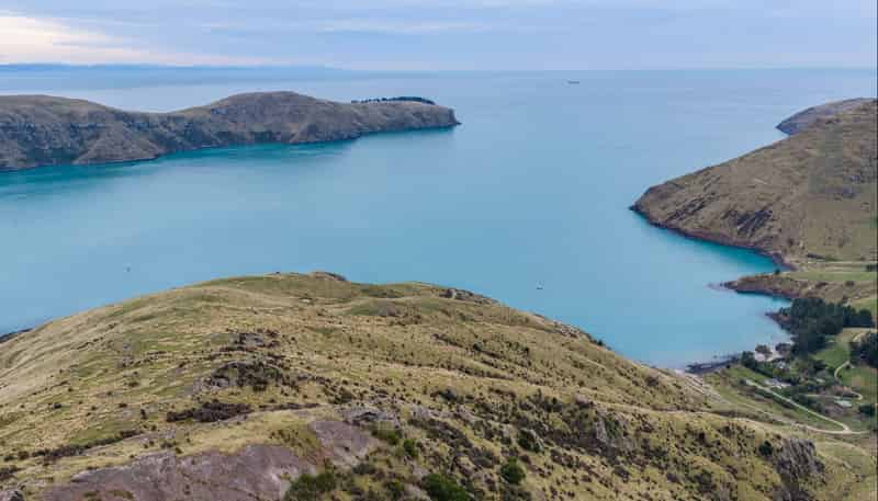 Lot 1 Camp Bay Road, Purau