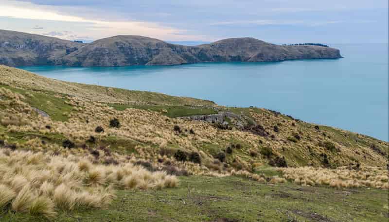 Lot 1 Camp Bay Road, Purau