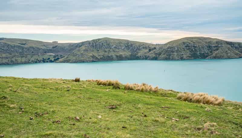 Lot 1 Camp Bay Road, Purau