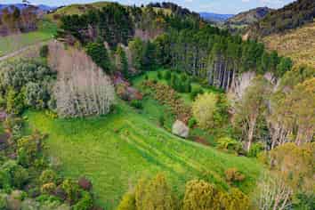 166 SH2 Lot 2, Opotiki and Surrounds