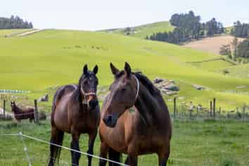 Lot 13, 0 Oven Hill Road, ROXBURGH