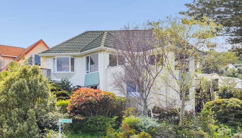 17 Avon Street, Island Bay