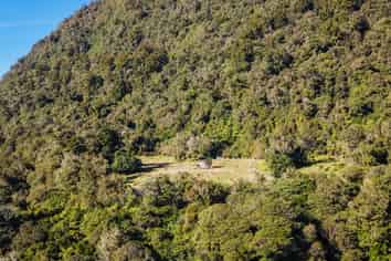 3274 Otira Highway, Kumara