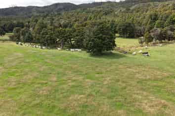 Lot 3/286 Mangakaretu Road, Kerikeri Surrounds