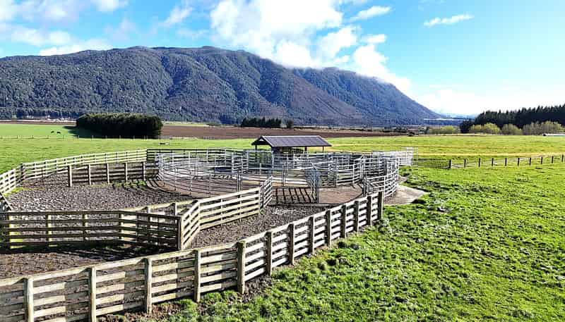 2211 Blackmount Redcliff Road, Whare Creek