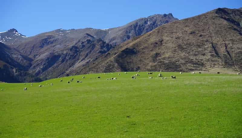 2211 Blackmount Redcliff Road, Whare Creek