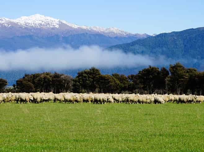 2211 Blackmount Redcliff Road, Whare Creek