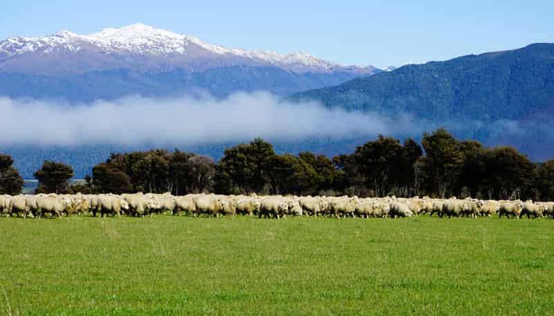 2211 Blackmount Redcliff Road, Whare Creek