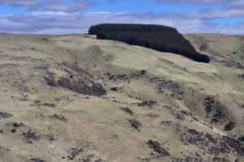  Golden Bar Road, Dunback