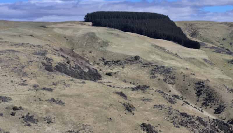  Golden Bar Road, Dunback