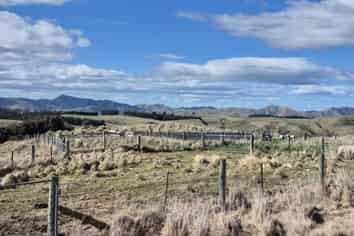 Golden Bar Road, Dunback