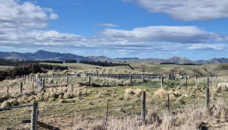  Golden Bar Road, Dunback