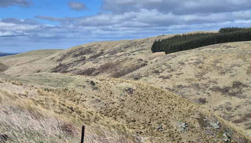  Golden Bar Road, Dunback