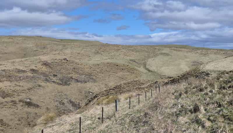  Golden Bar Road, Dunback