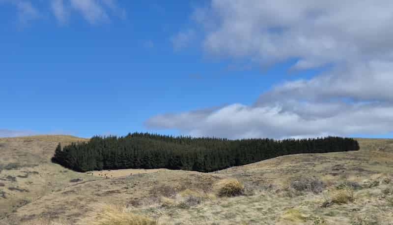  Golden Bar Road, Dunback