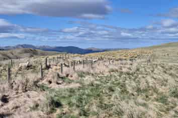  Golden Bar Road, Dunback