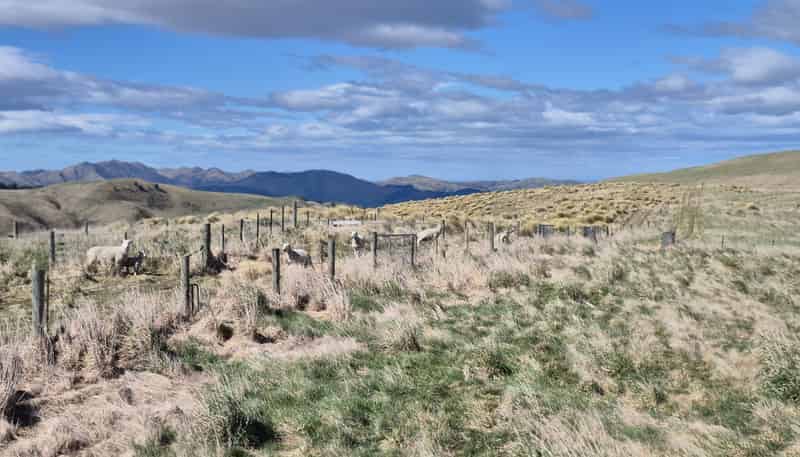  Golden Bar Road, Dunback