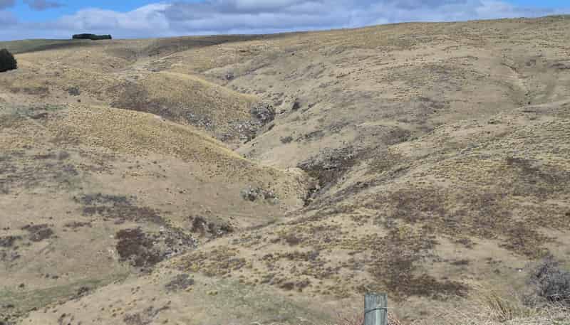  Golden Bar Road, Dunback