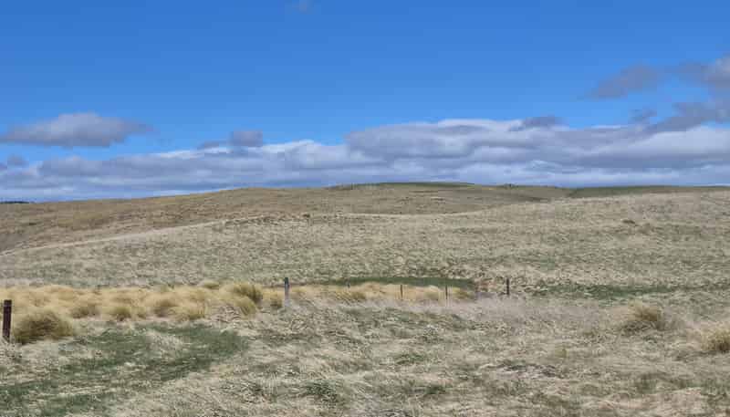  Golden Bar Road, Dunback