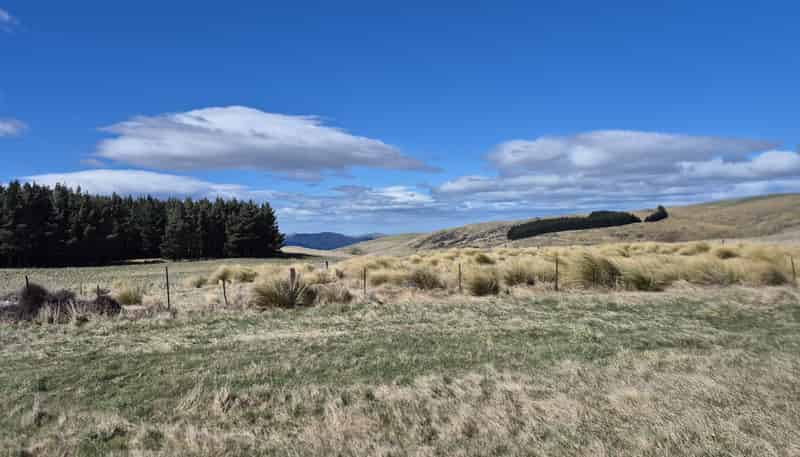  Golden Bar Road, Dunback