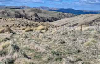  Golden Bar Road, Dunback
