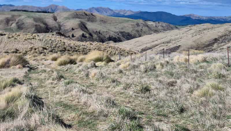  Golden Bar Road, Dunback