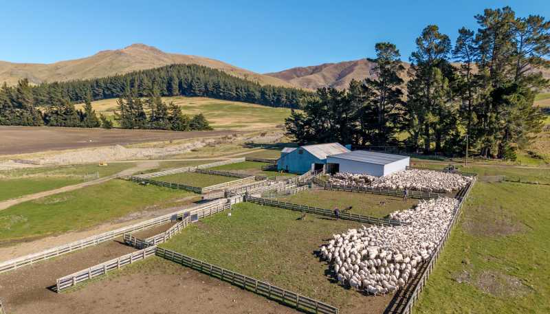 405 Upper Downs Road, Mount Somers