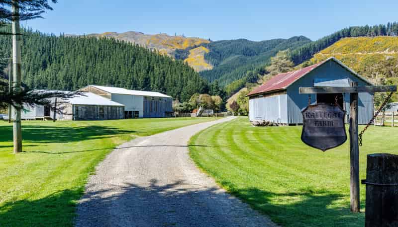 140 Leslies Road, Okaramio