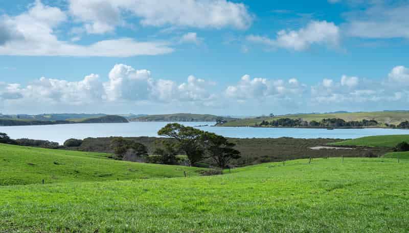 Lot 2 Neems Road, Matakohe