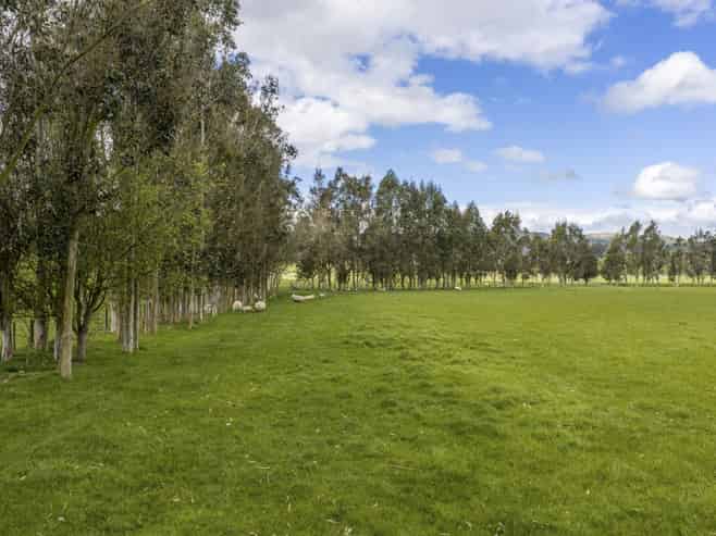 1020 Te Aute Trust Road, Poukawa