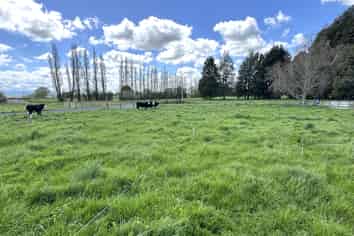 Lot 1 Mangawhero Road, Otorohanga