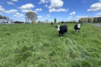 Lot 1 Mangawhero Road, Otorohanga