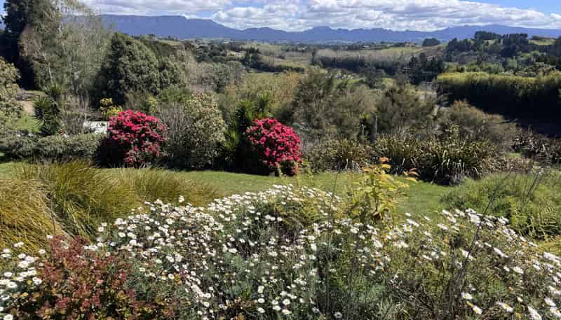 50 Turntable Hill Road, Whakamarama