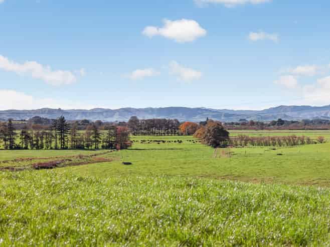 807 Te Ohaki Road, Huntly