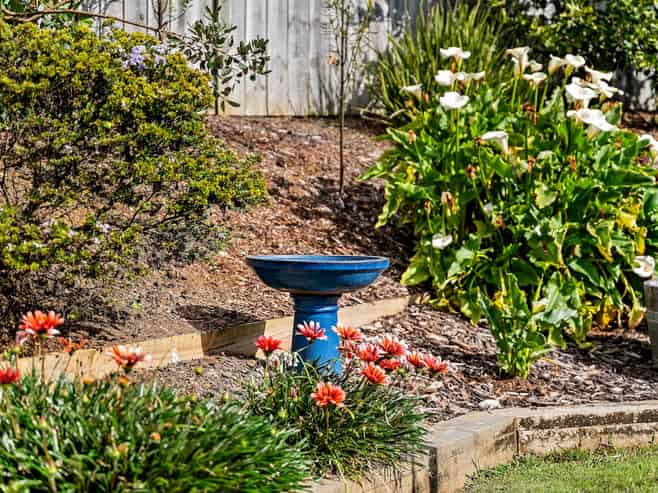 29 Lippiatt Crescent, Pokeno