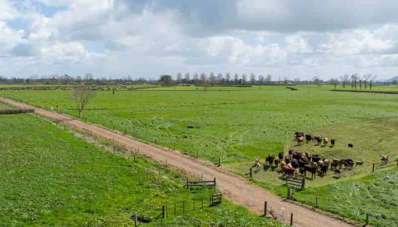 353 Maiseys Road, Waharoa, Matamata