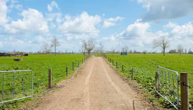 353 Maiseys Road, Waharoa, Matamata